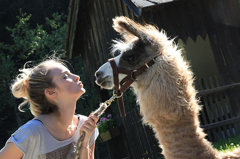 Nahaufnahme von einer Frau, die ein Lama küssen möchte